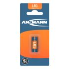Alkaline Batterie LR1 1er Blister